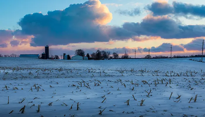Frosty farmscape in Northern Indiana.